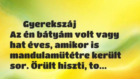 Vicces történet: 
	    	    Gyerekszáj


Az én bátyám volt vagy hat éves, amikor is…