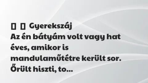 Vicces történet: 
	    	    Gyerekszáj


Az én bátyám volt vagy hat éves, amikor is…