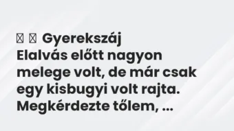 Vicces történet:
Gyerekszáj
Elalvás előtt nagyon melege volt, de már… Vicces történet:
Gyerekszáj
Elalvás előtt nagyon melege volt, de már…