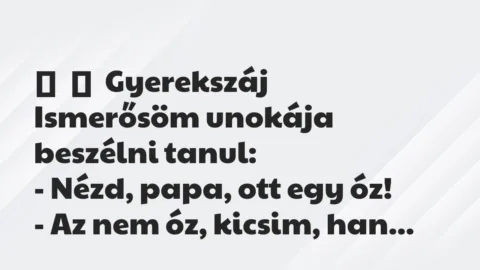 Vicces történet: 
	    	    Gyerekszáj


Ismerősöm unokája beszélni tanul:


– …