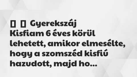 Vicces történet: 
	    	    Gyerekszáj


Kisfiam 6 éves körül lehetett, amikor…