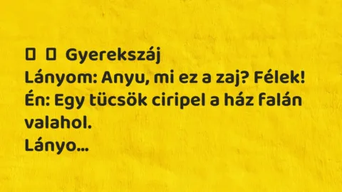 Vicces történet: 
	    	    Gyerekszáj


Lányom: Anyu, mi ez a zaj?…