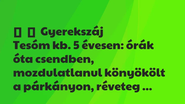 Vicces történet:
Gyerekszáj
Tesóm kb. 5 évesen: órák óta csendben,… Vicces történet:
Gyerekszáj
Tesóm kb. 5 évesen: órák óta csendben,…