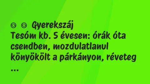 Vicces történet: 
	    	    Gyerekszáj


Tesóm kb. 5 évesen: órák óta csendben,…