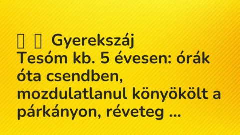 Vicces történet: 
	    	    Gyerekszáj


Tesóm kb. 5 évesen: órák óta csendben,…