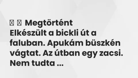 Vicces történet: 
	    	    Megtörtént


Elkészült a bickli út a faluban. Apukám…