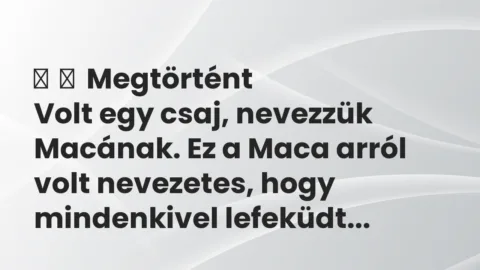 Vicces történet:
Megtörtént
Volt egy csaj, nevezzük Macának. Ez a Maca… Vicces történet:
Megtörtént
Volt egy csaj, nevezzük Macának. Ez a Maca…