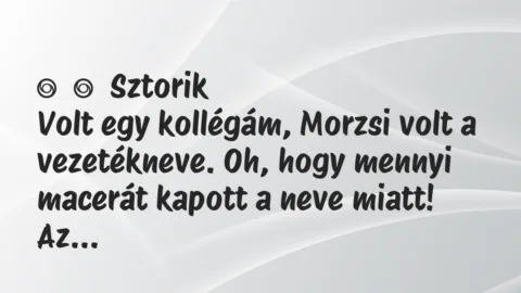 Vicces történet: 
	    	    Sztorik


Volt egy kollégám, Morzsi volt a vezetékneve….