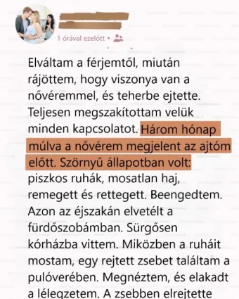 Gyűlöltem a nővéremet, amiért tönkretette a házasságomat… Egészen... Az én Magánügyeim: Amikor felfedeztem, hogy a nővérem megmentette engem, és nem pedig tönkretett