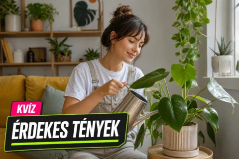 21. századi furcsa szokások kvíz: tudod, melyik mai hóbort mit jelent valójában?