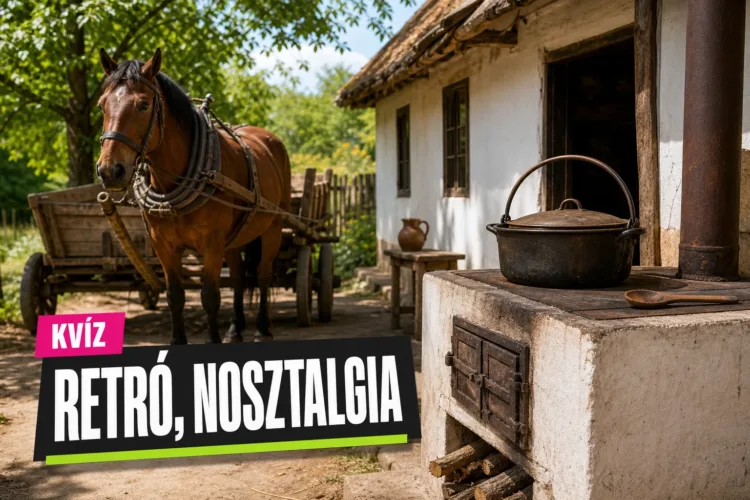 40-es évek falusi hétköznapjai kvíz: el tudod dönteni, mi tartozott a falusi élethez? 40-es évek falusi hétköznapjai kvíz: el tudod dönteni, mi tartozott a falusi élethez?