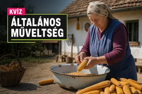 60-as évekbeli falusi élet kvíz: csak a legjobbak tudják, mi volt a mindennapok része