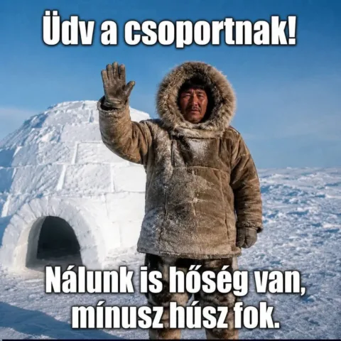 Üdv a csornak!