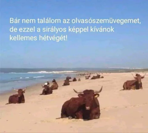 Bár nem találom az olvasószemüvegemet...
