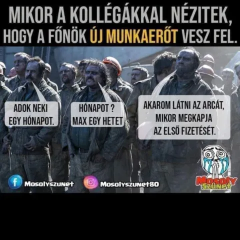 Mikor a kollégákkal nézitek, hogy a főnök új munkaerőt vesz fel?
