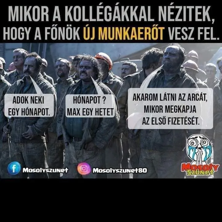 Mikor a kollégákkal nézitek, hogy a főnök új munkaerőt vesz fel? Mikor a kollégákkal nézitek, hogy a főnök új munkaerőt vesz fel?