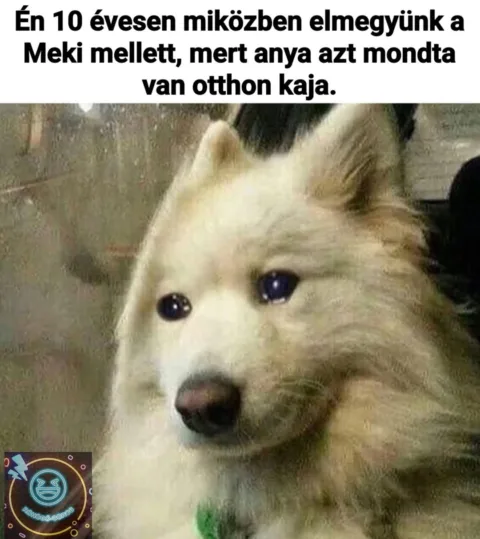Én 10 évesen miközben elmegyünk a Meki mellett...