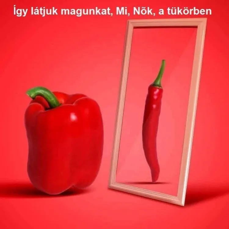 Így látjuk magunkat, mi, nők, a tükörben Így látjuk magunkat, mi, nők, a tükörben