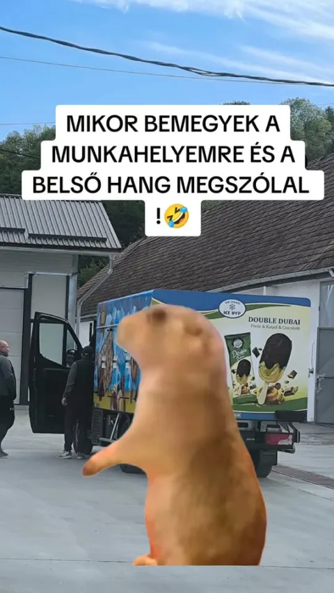 Mikor bemegyek a munkahelyemre és a belső hang megszólal?
