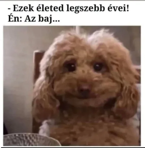 Ezek életed legszebb évei!