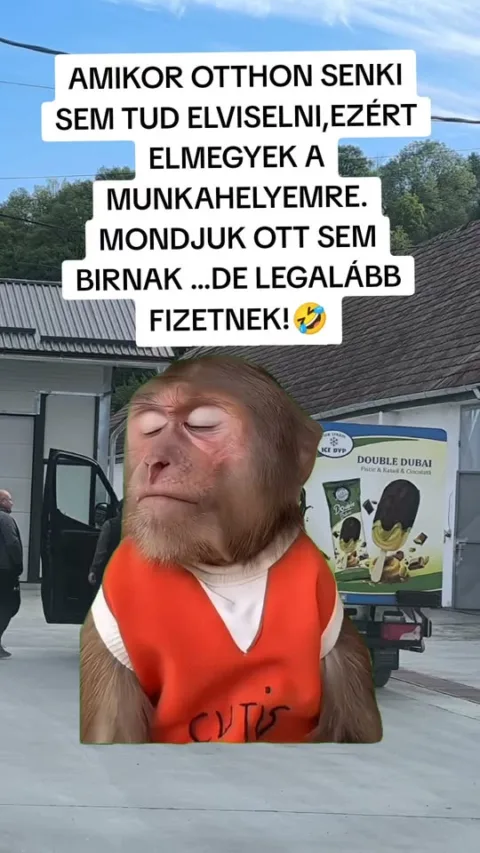 Amikor otthon senki sem tud elviselni, ezért elmegyek a munkahelyemre...