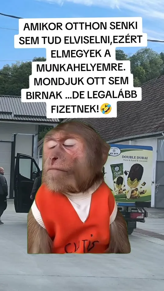 Amikor otthon senki sem tud elviselni, ezért elmegyek a munkahelyemre... Amikor otthon senki sem tud elviselni, ezért elmegyek a munkahelyemre...