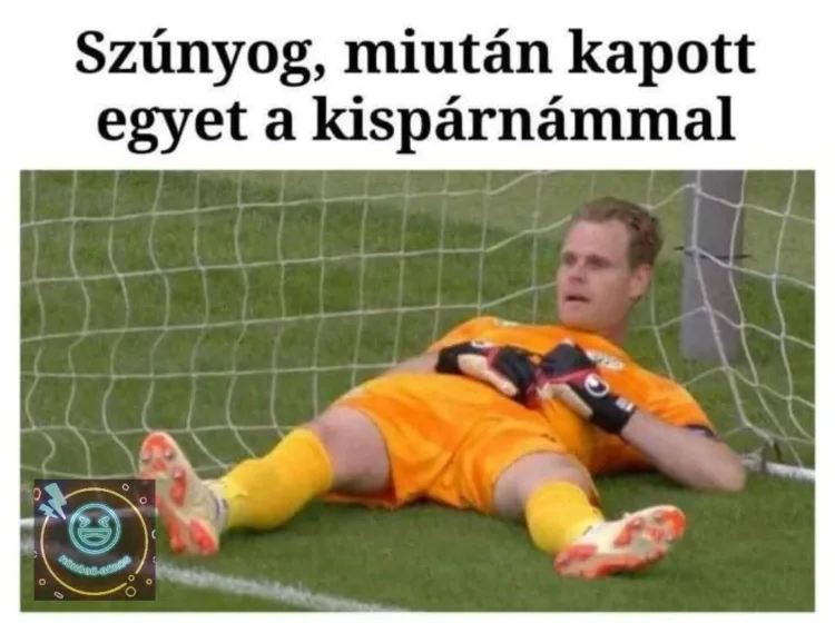 Szúnyog, miután kapott egyet a kispárnámmal Szúnyog, miután kapott egyet a kispárnámmal