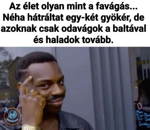 Az élet olyan mint a favágás...