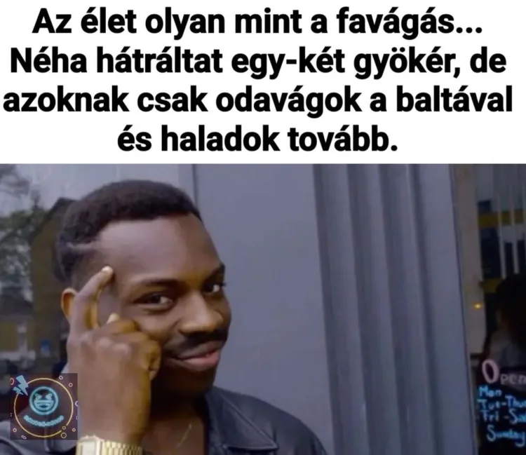 Az élet olyan mint a favágás... Az élet olyan mint a favágás...
