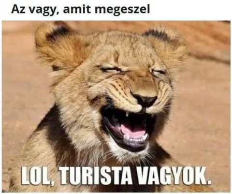 Az vagy amit megeszel...
