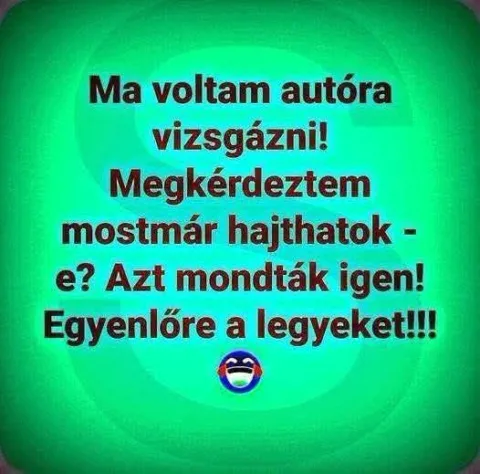 Ma voltam autóra vizsgázni!