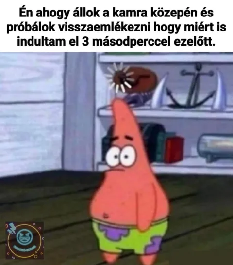Én ahogy állok a kamra közepén és próbálok visszaemlékezni...
