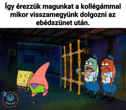 Így érezzük magunkat a kollégámmal mikor visszamegyünk dolgozni az ebédszünet után
