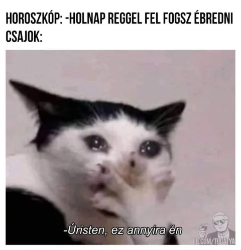 Horoszkóp: -Holnap reggel fel fogsz ébredni...