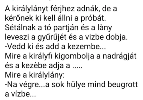 A királylányt férjhez adnak, de a kérőnek ki kell állni a próbát...