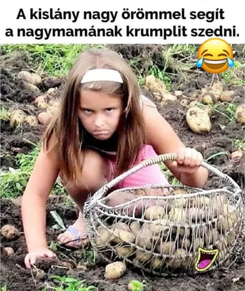 A kislány nagy örömmel segít a nagymamának krumplit szedni