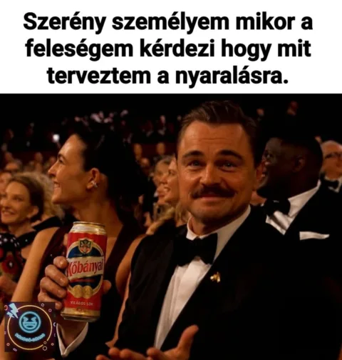 Szerény személyem mikor a feleségem kérdezi hogy mit terveztem a nyaralásra
