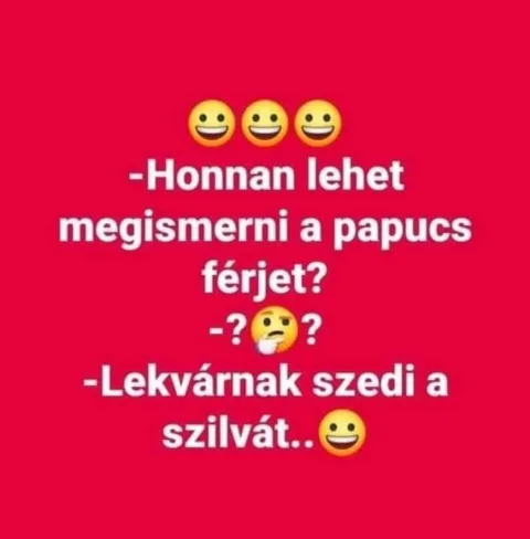 Honnan lehet megismerni a papucs férjet?