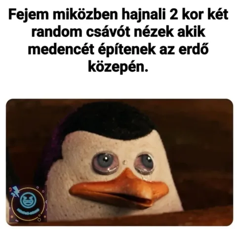 Fejem miközben hajnali 2 kor két random csávót nézek...