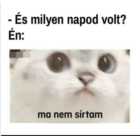 És milyen napod volt?