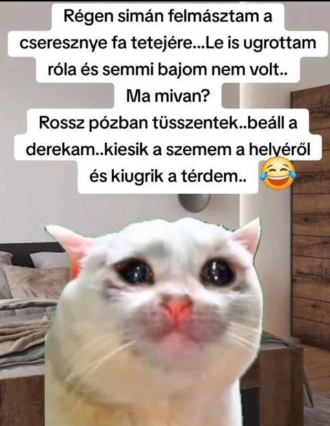 Régen simán felmásztam a cseresznye fa tetejére...
