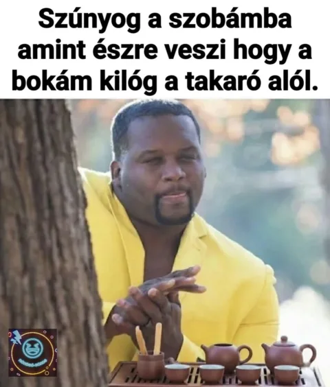 Szúnyog a szobámba amint észre veszi hogy a bokám kilóg a takaró alól