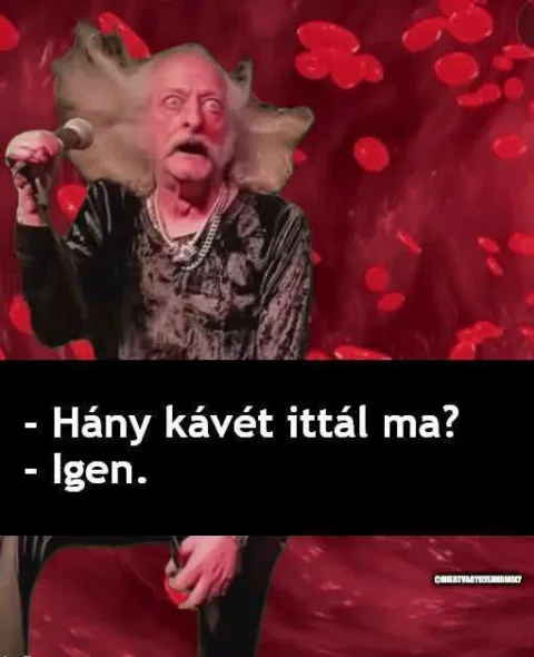 Hány kávét ittál ma?
