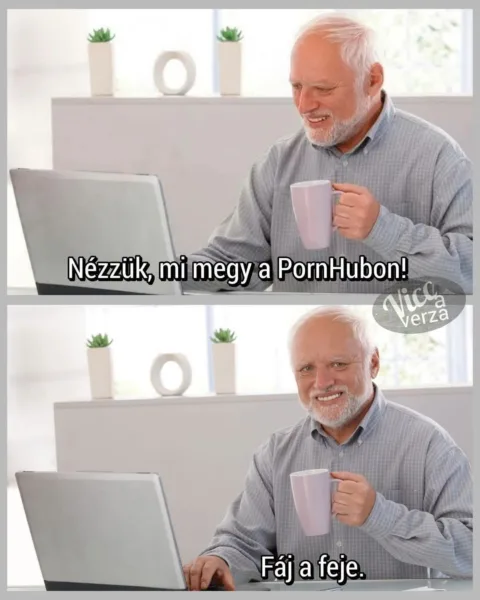 Nézzük, mi megy a PornHubon!