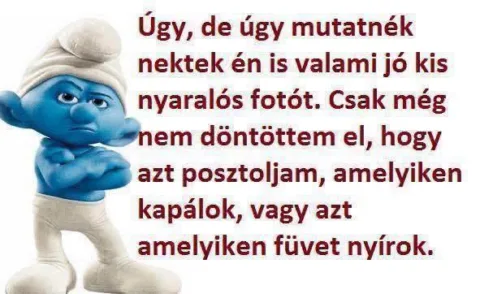 Úgy, de úgy mutatnék nektek én is valami jó kis nyaralós fotót...