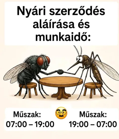 Nyári szerződés aláírása és munkaidő...