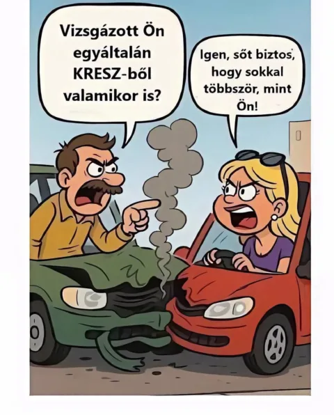Vizsgázott Ön egyáltalán KRESZ-ből valamikor is?