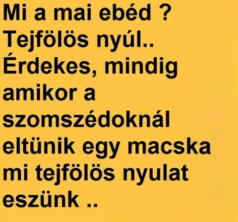 Mi a mai ebéd?
