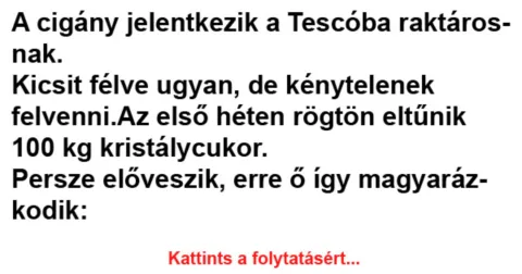 Vicc: A cigány jelentkezik a Tescóba raktárosnak –