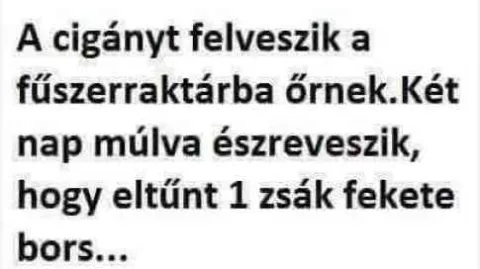 Vicc: A cigányt felveszik a fűszerraktárba őrnek. Vicc: A cigányt felveszik a fűszerraktárba őrnek.